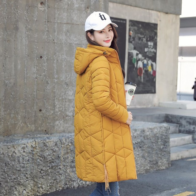 Winter jacket women 2019 Quality casual Thick long Hooded Coat women b ...