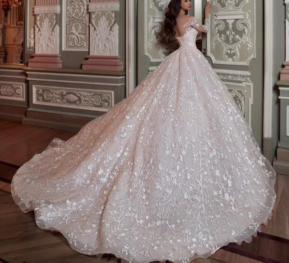 Robe 2024 princesse 2020