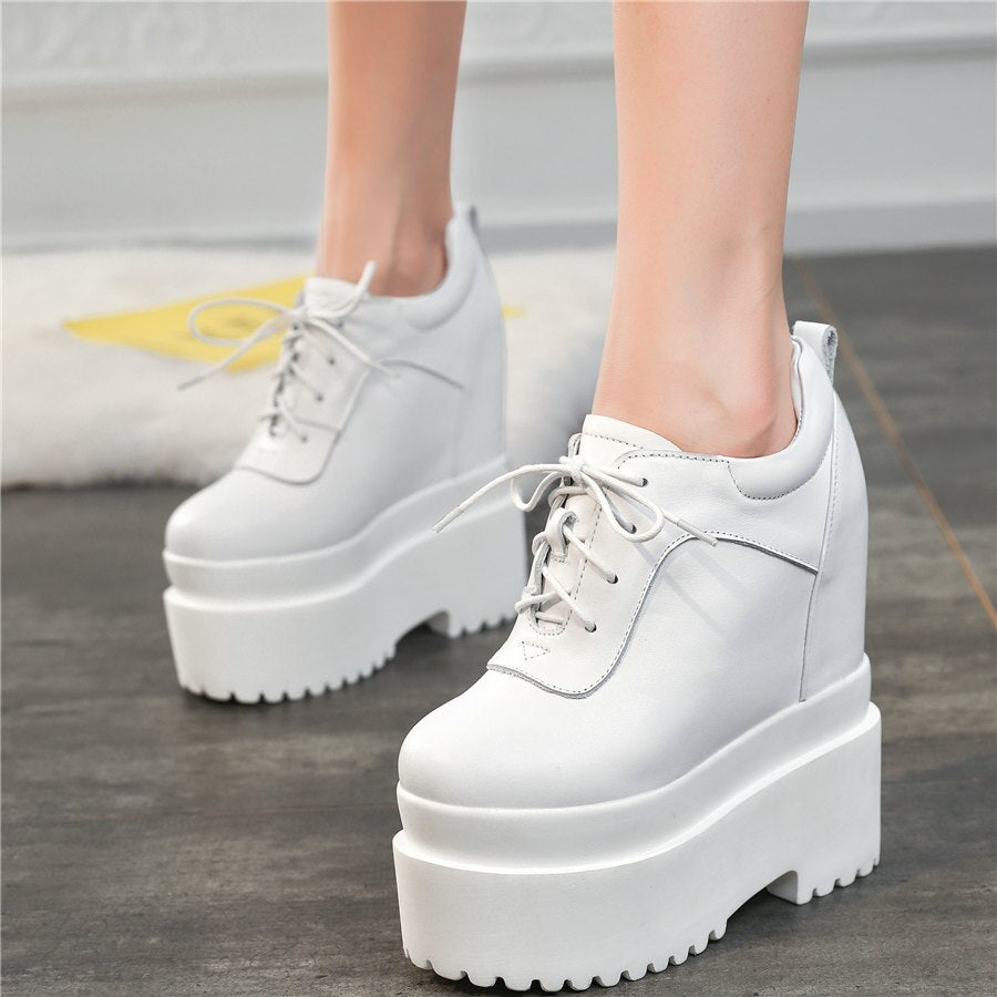 Lace Up Ankle Boots Women